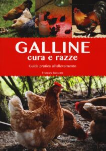 galline cura e razza
