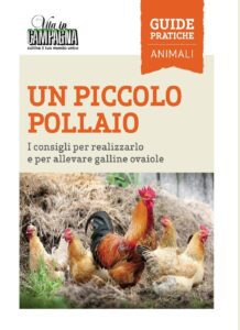libro un piccolo pollaio