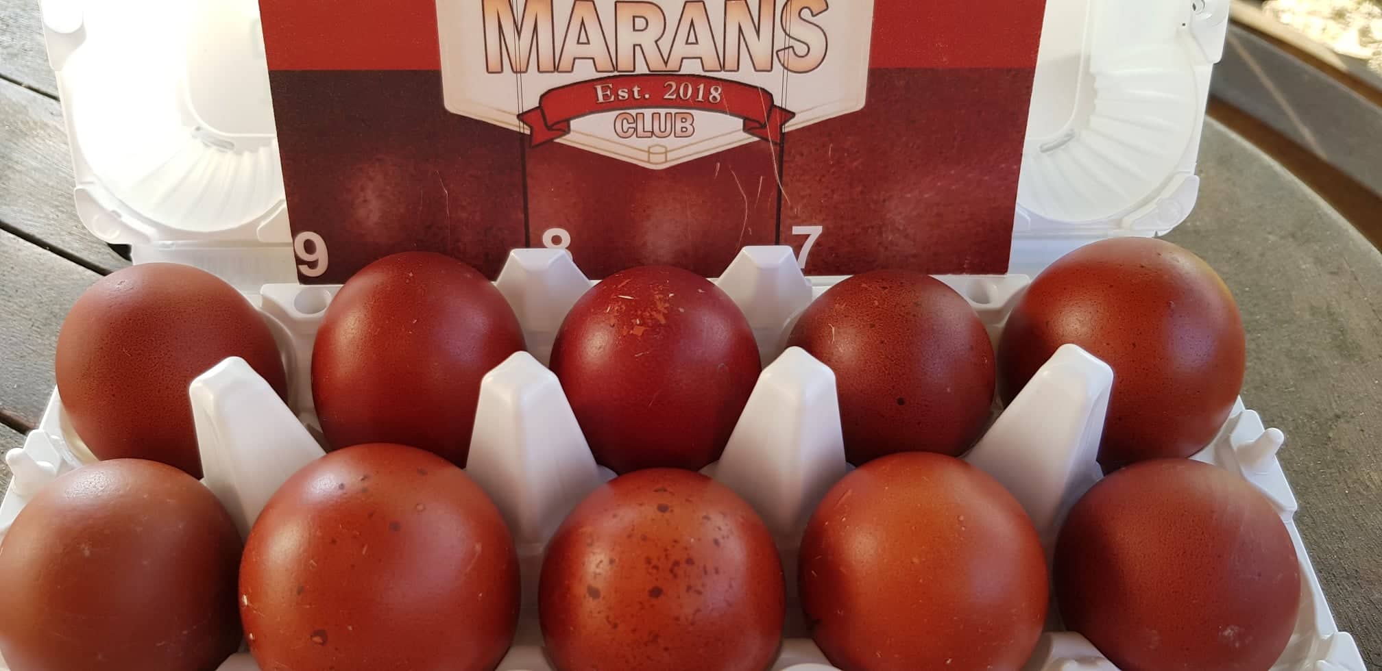 uova di Marans
