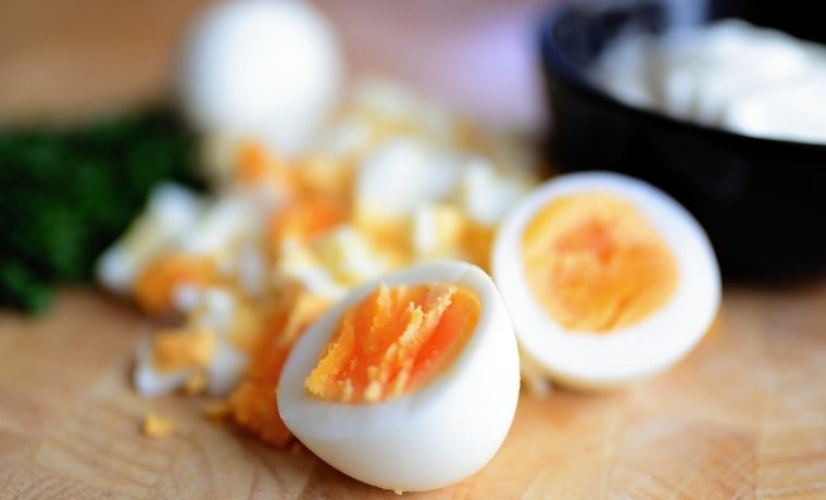 L’uovo nella dieta: benefici e come somministrarlo